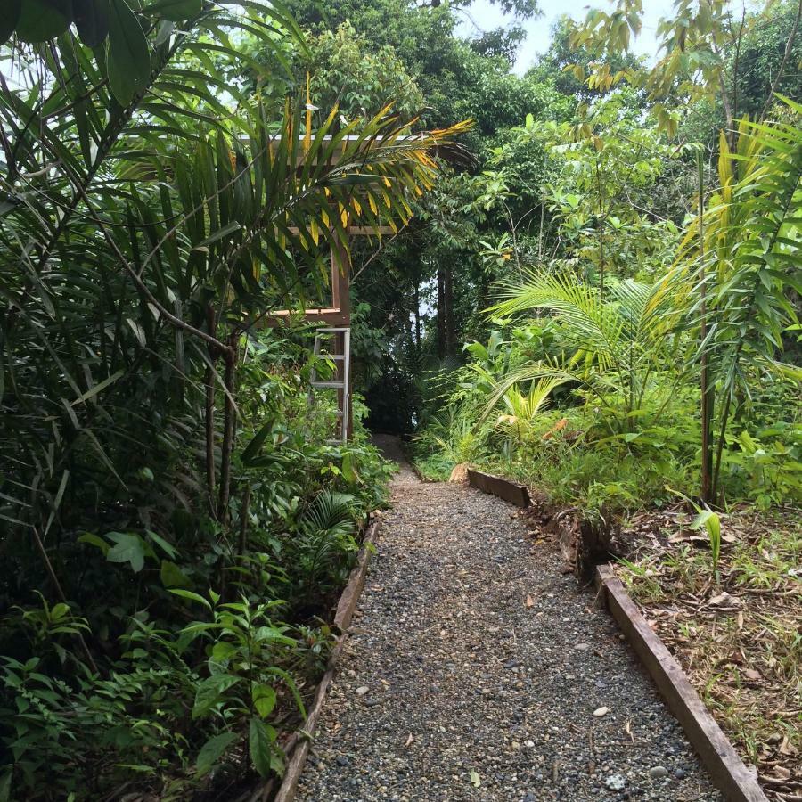 Punta Brava Villa Nuquí Exterior foto